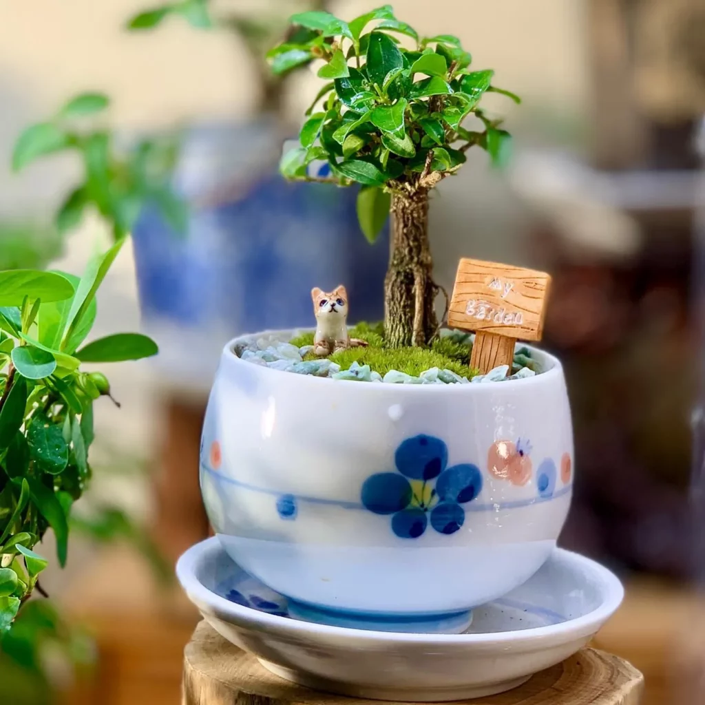 Dwarf Cherry Bonsai Tree In Decorated Ceramic Pot with Cat Toy at Home Garden Area