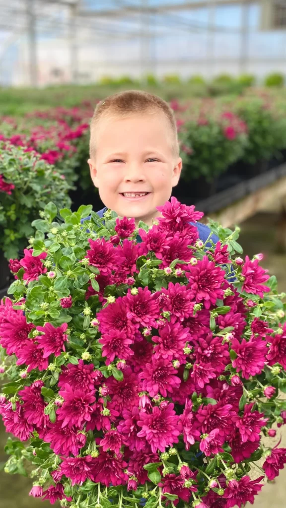 A Small Boy with Blooming Chrysanthemum Air Purifying Plant