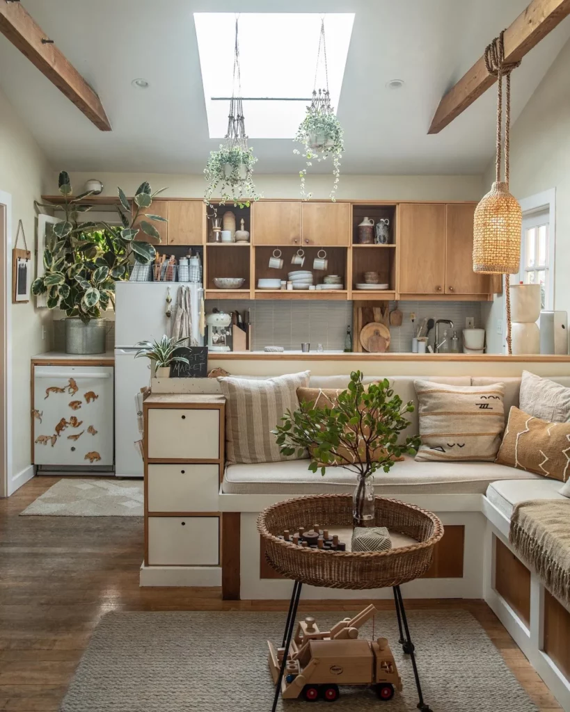 Rubber Tree at Home Living Area