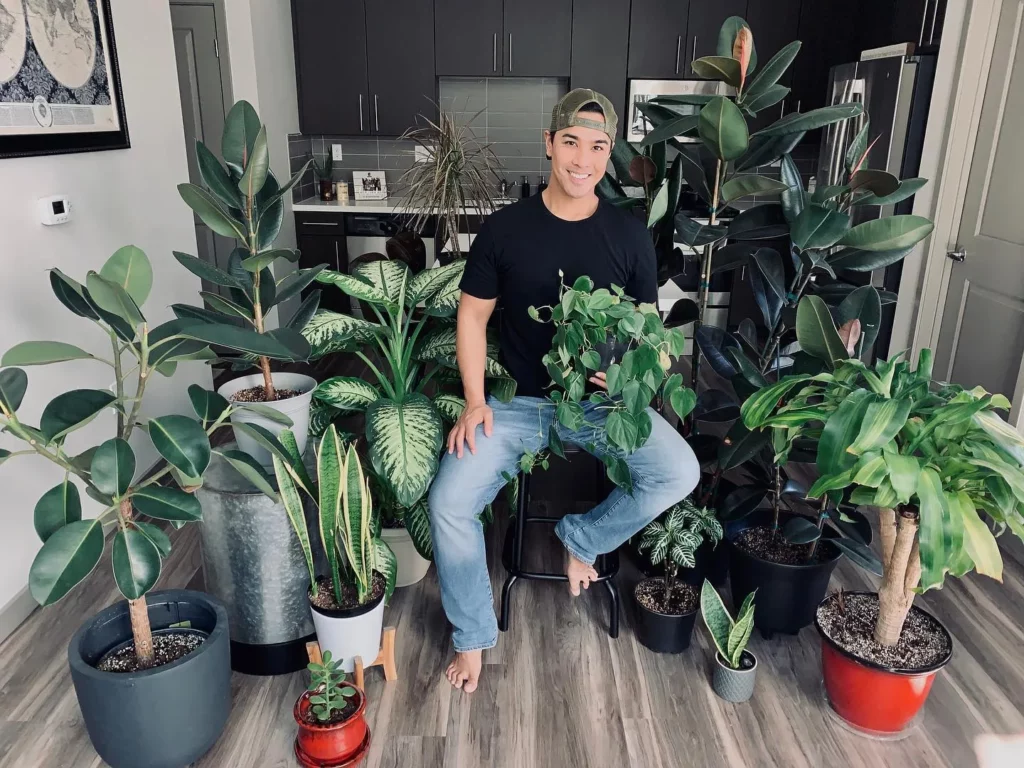 Happy Man Posing with Zebra (Haworthiopsis Attenuata) and Other Indoor Plants On Wooden Floor at Home Garden Area