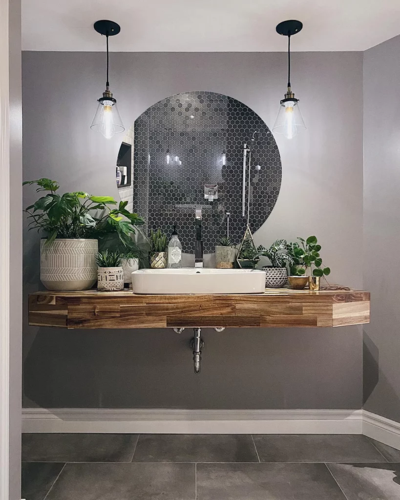 Philodendron Tahiti Plant Displayed with Other Indoor Plants Observing Electric Bulb Light at Home Restroom Area