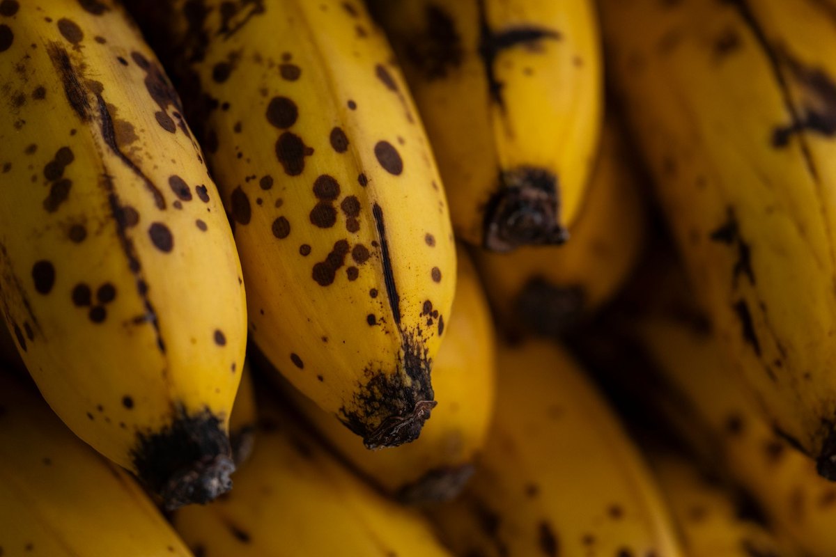 Getting ready to make best banana bread