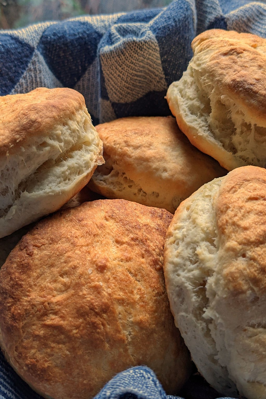Close up of biscuits and sausage gravy