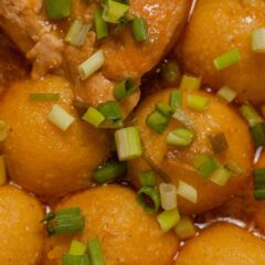 Close up of chicken and dumplings