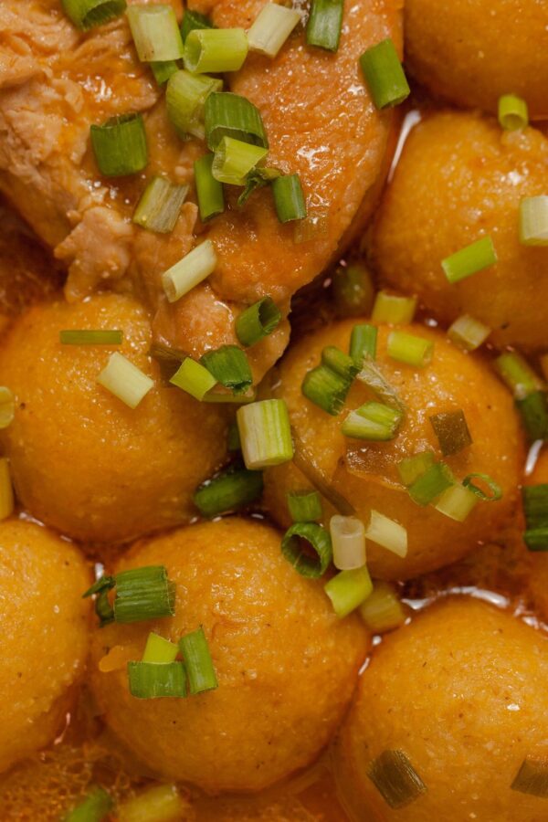 Close up of chicken and dumplings