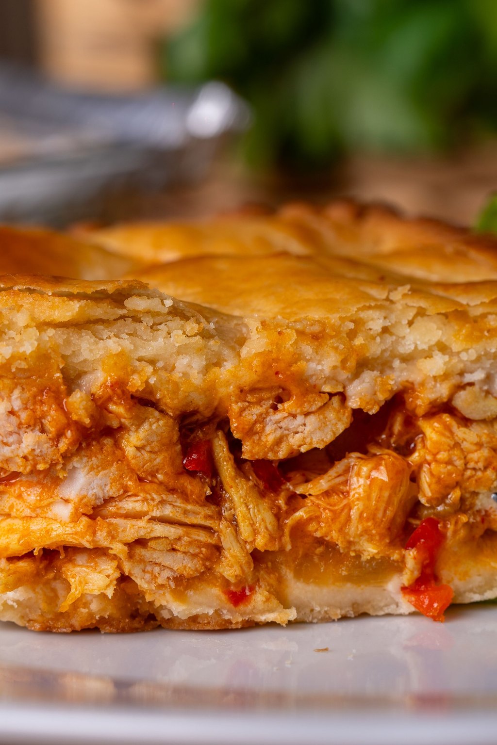 Close up of chicken pot pie