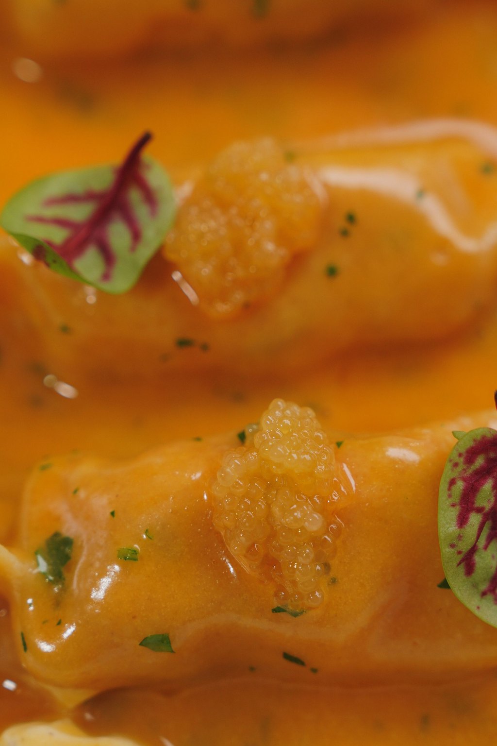 Close up of baked stuffed shells
