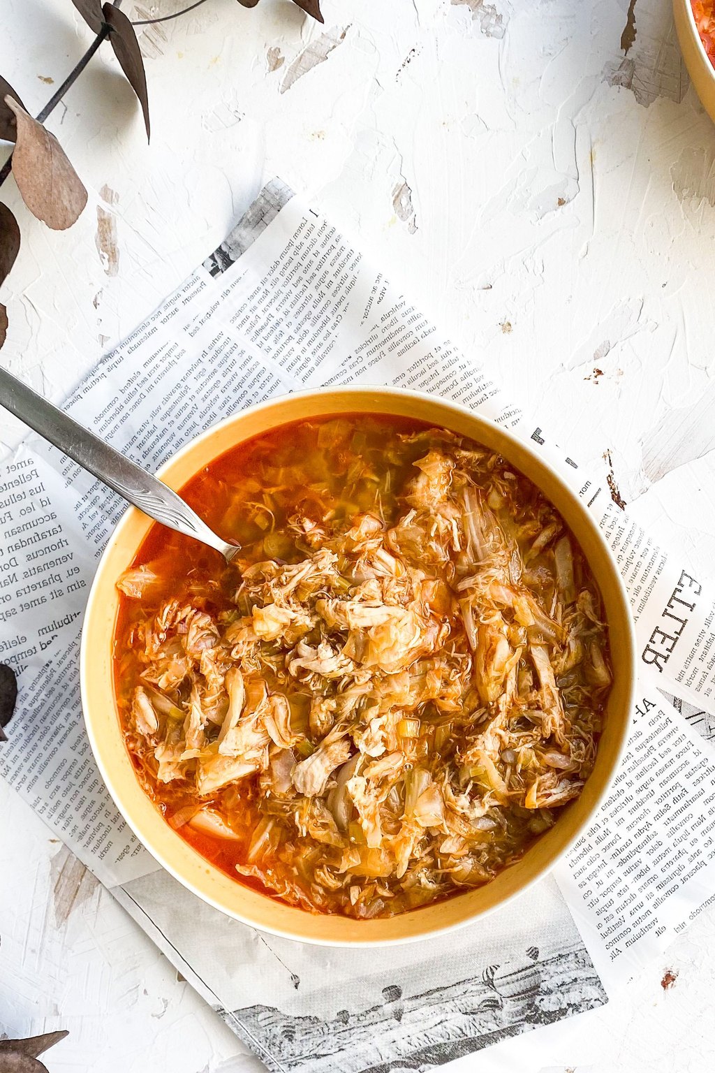 Close up of brunswick stew