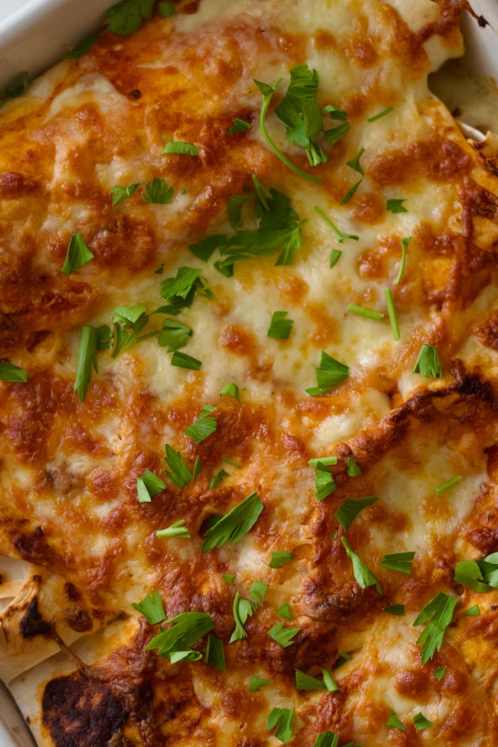 Close up of chicken enchiladas