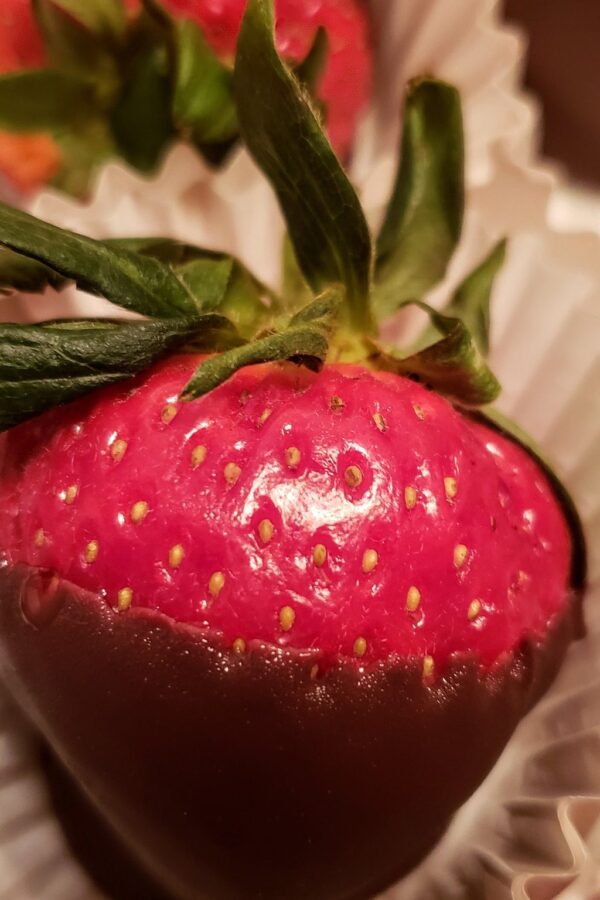 Close up of chocolate covered strawberries