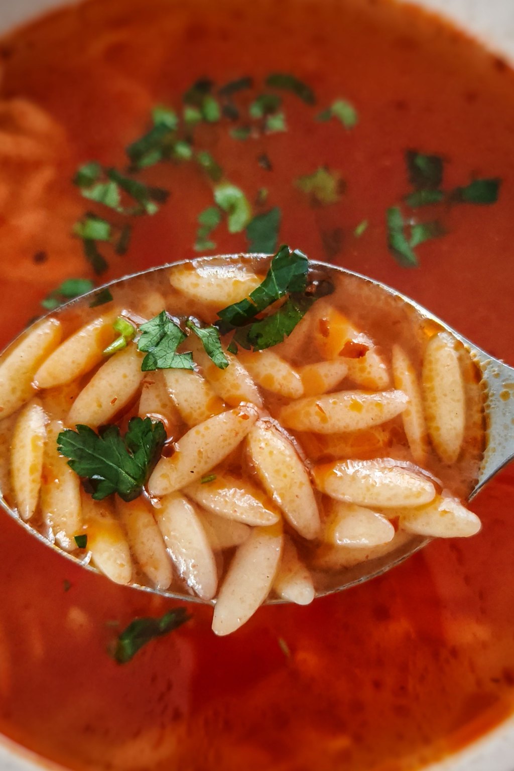 Close up of pasta fagioli soup
