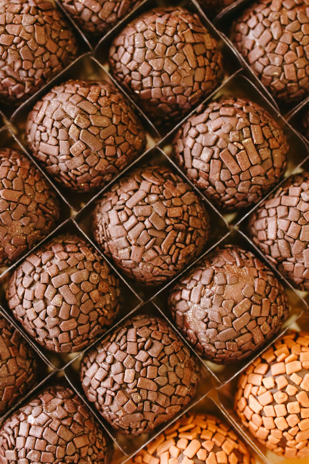 Close up of buckeyes